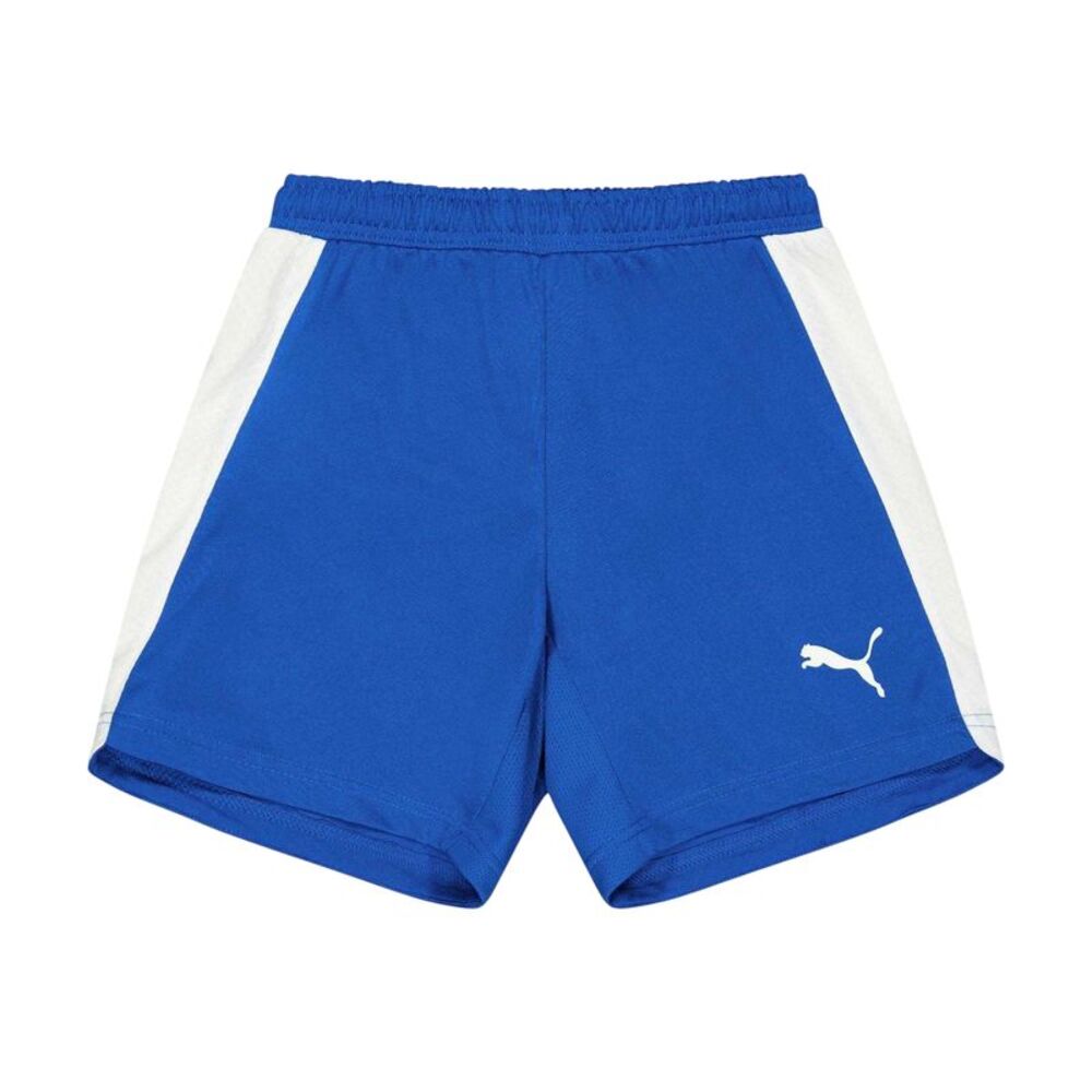 Puma Childrens/Kids Evo Shorts / Blue